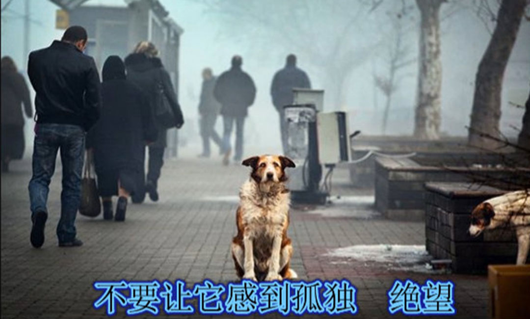 漳州漳州爱影圈微博微信转发案例
